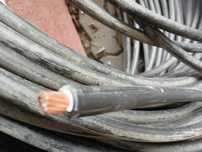 KABEL YKY 1x50 mm2