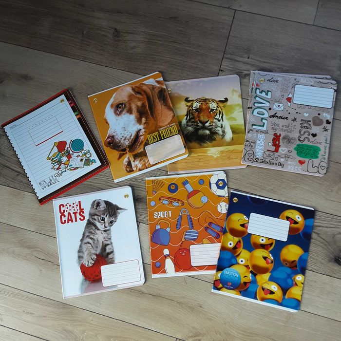 Набір зошитів учнівських в клітинку та лінію 12 аркушів