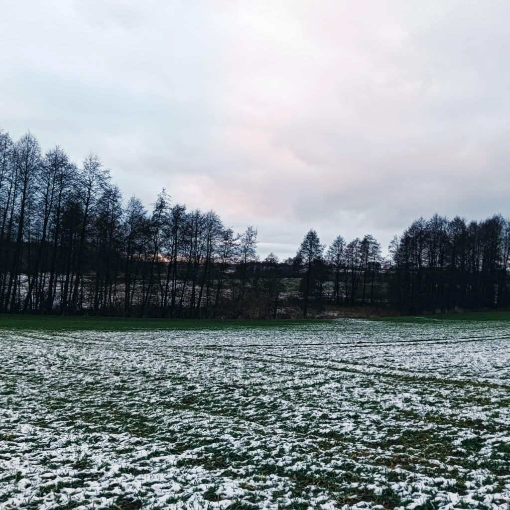 Sprzedam Las z łąkami