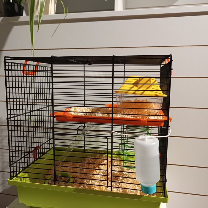 Klatka , chomik . Plus dodatki .