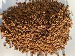 Caroço de Azeitona limpo e seco