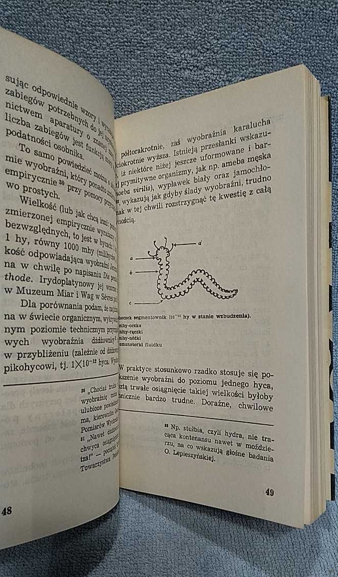 Wstęp do imagineskopii Śledź Otrembus Podgrobelski