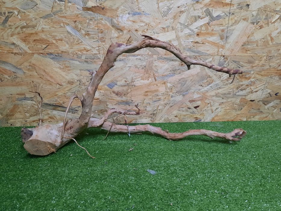 Korzeń do akwarium Red Moore Wood nr 816 o wymiarach 65/20/32