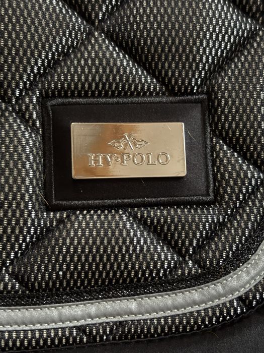 Sprzedam czaprak  skokowy HV POLO