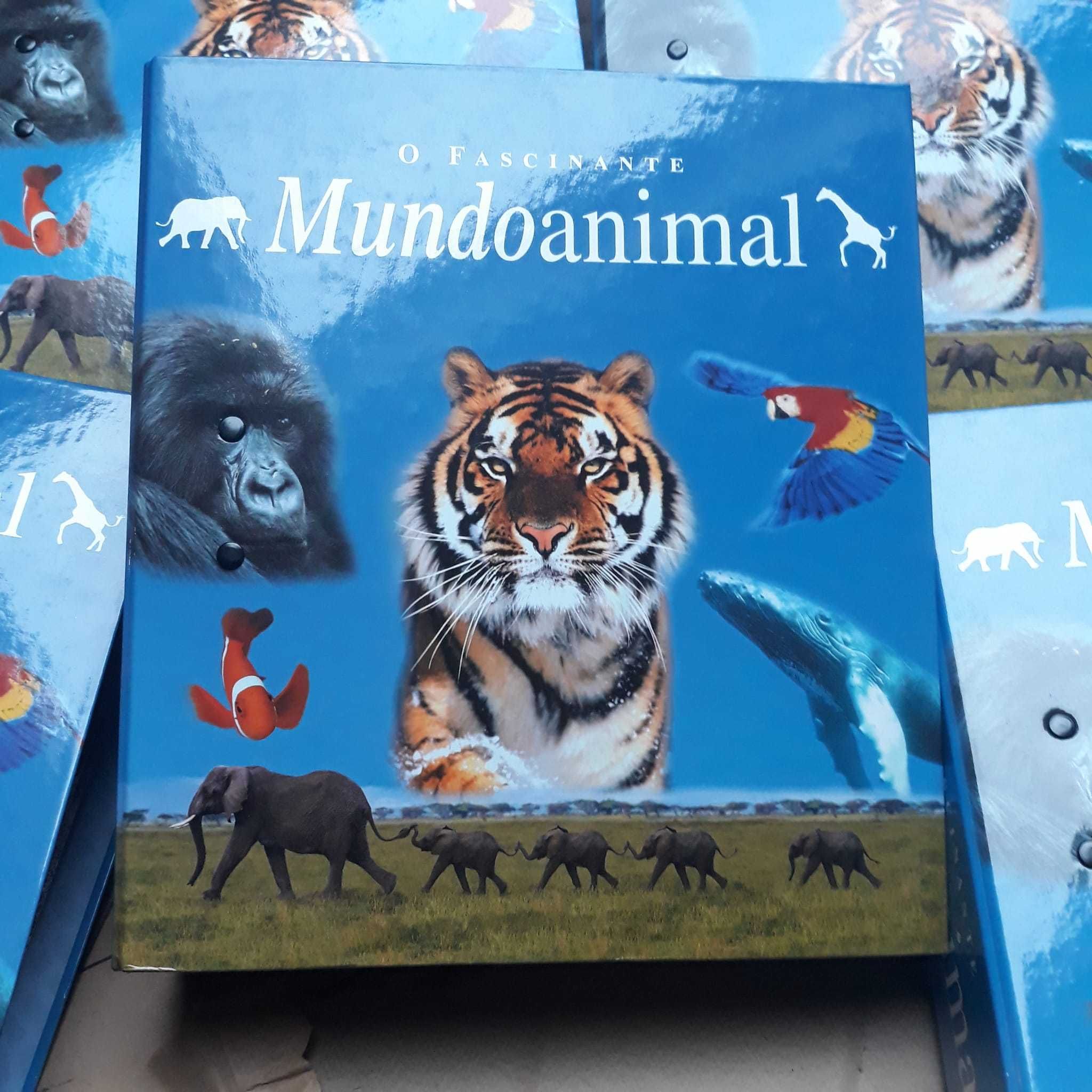 O Fascinante Mundo Animal