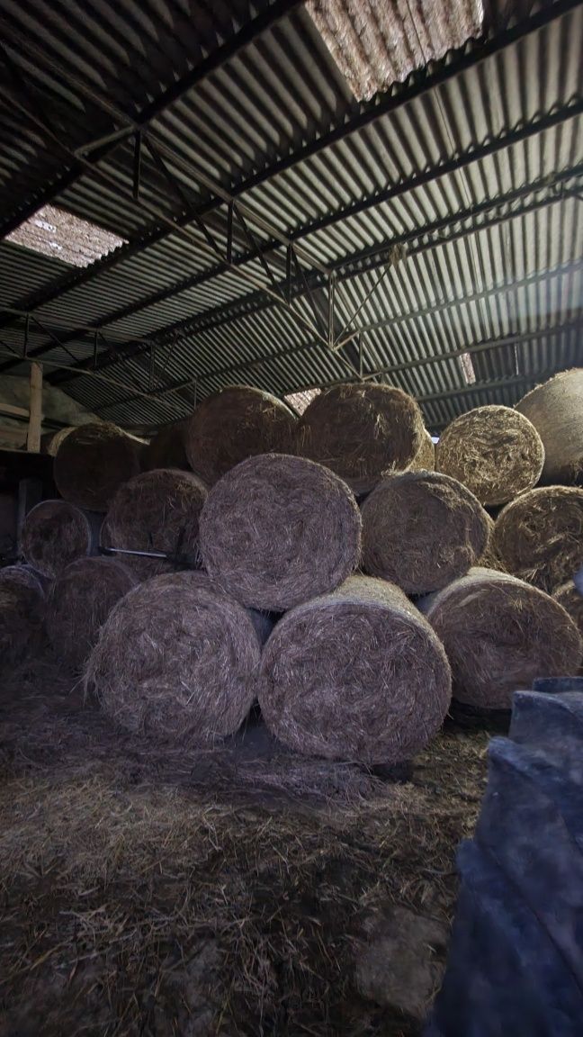Fardos de palha em rolo NOVO PREÇO