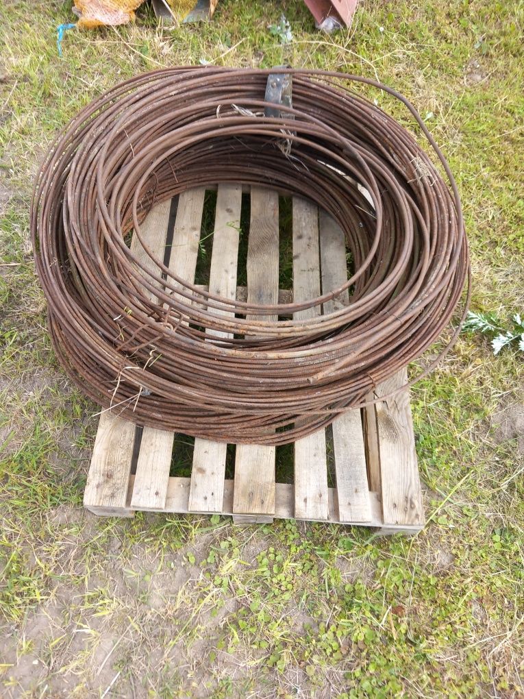 Drut zbrojeniowy w kręgach