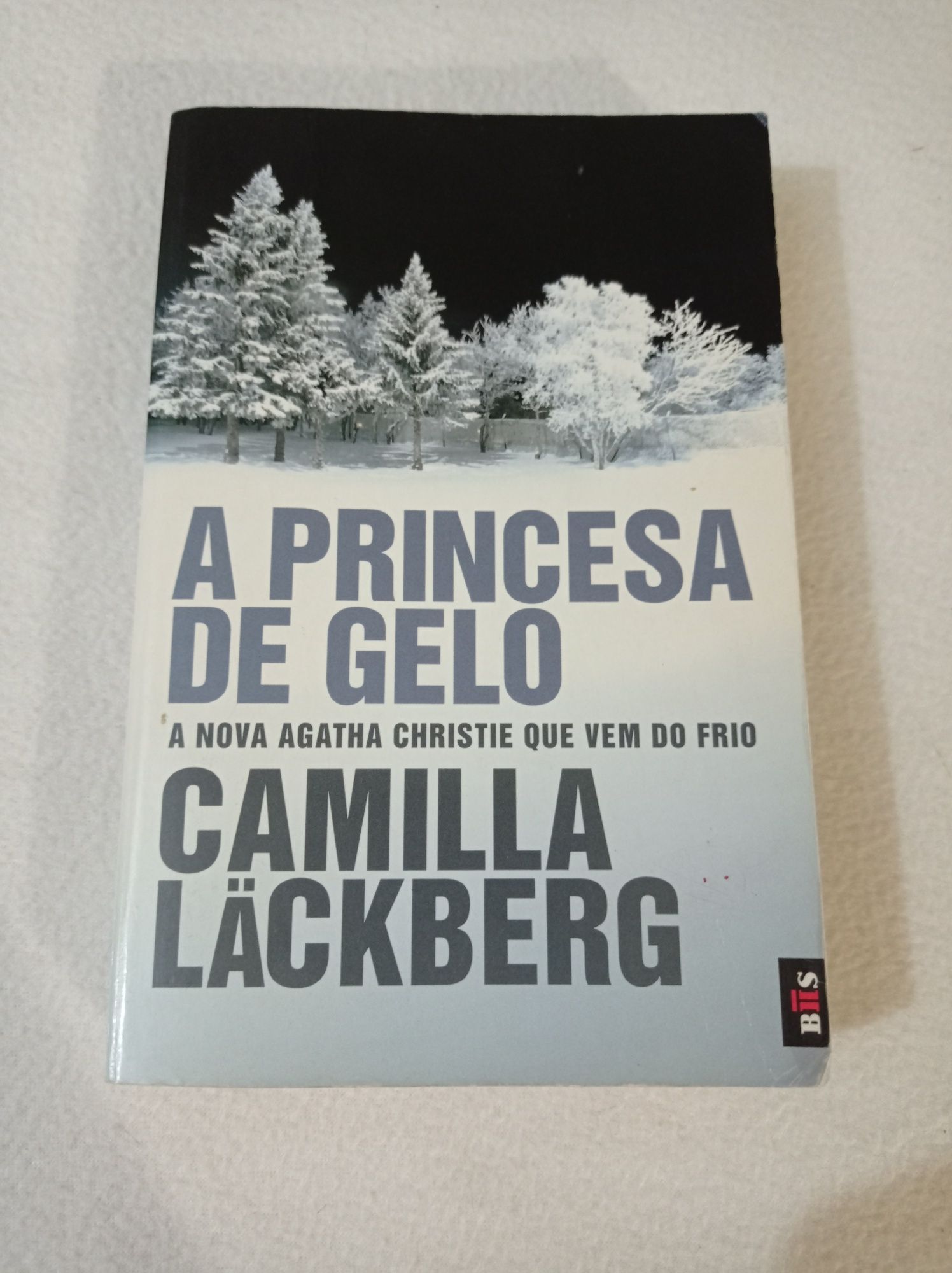 A princesa de gelo - Camilla Läckberg