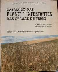 Catálogo das plantas infestantes das searas de trigo - VOLUME 1