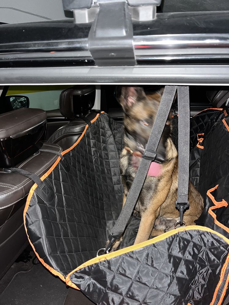 Capa Carro para Cão