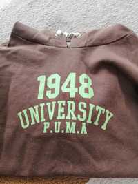 Bluza z kapturem Puma L