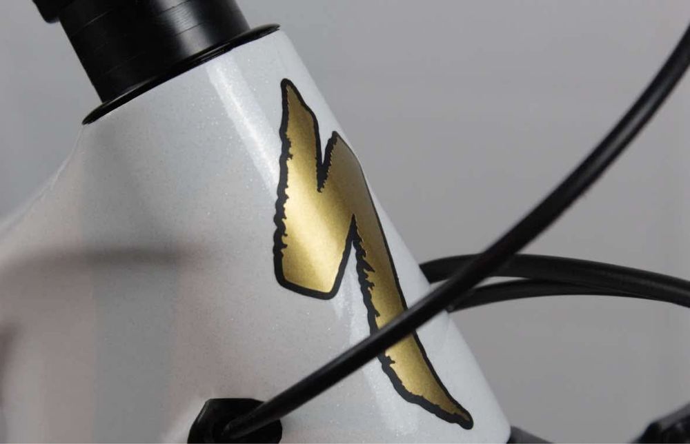 Bike de enduro  spcialized