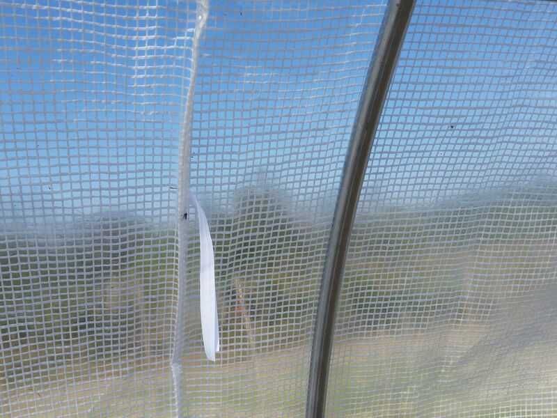 Estufa agrícola 6xx230cm TOP (2 portas Zip 7 ARCOS)