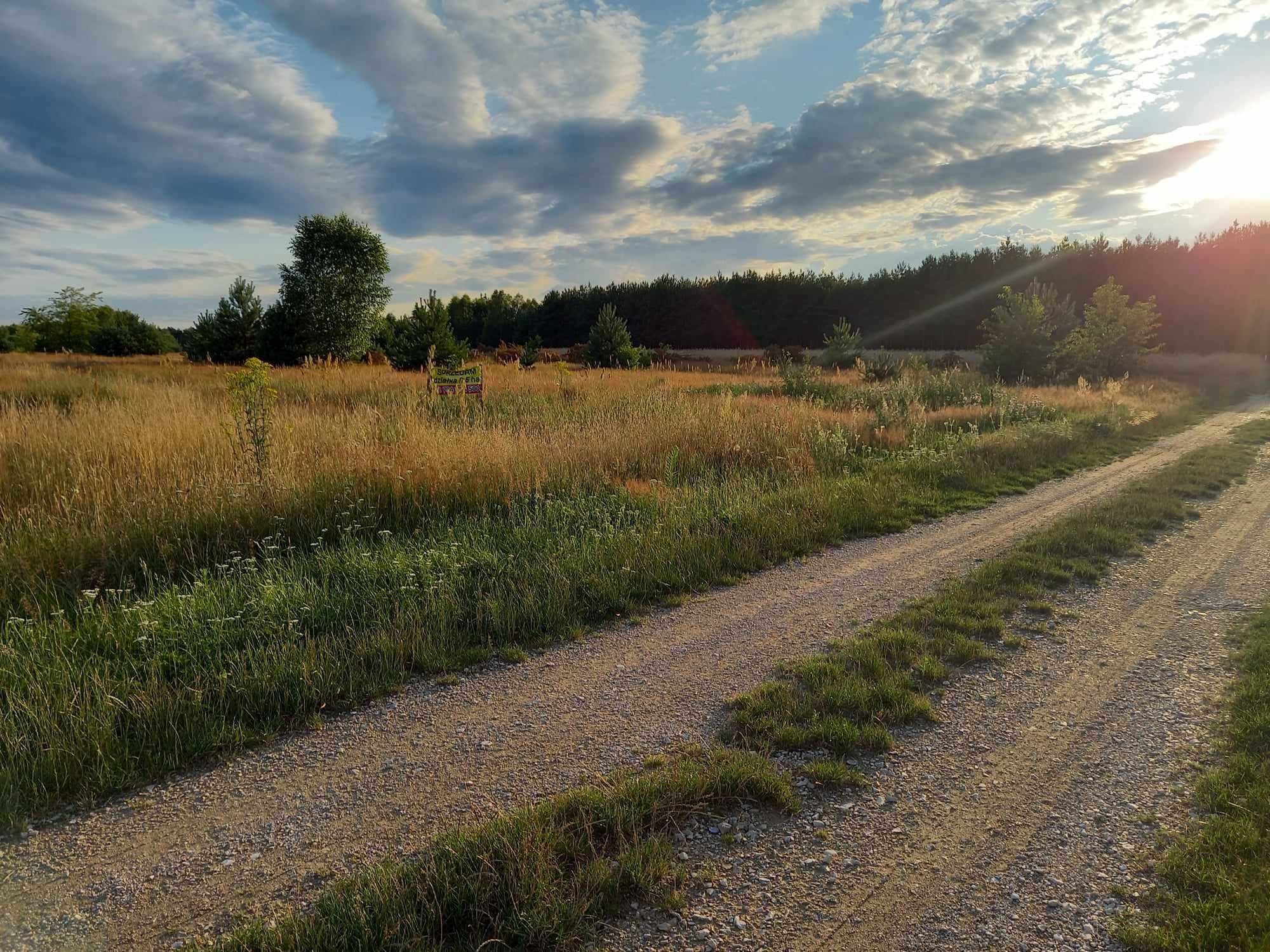 działka 5000 m2 nad Pilicą, Sudzin gm. Żytno