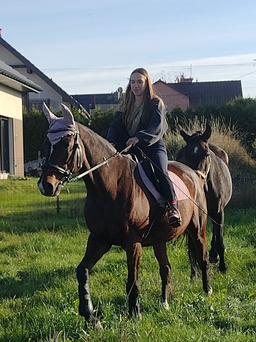 Klacz do rekreacji