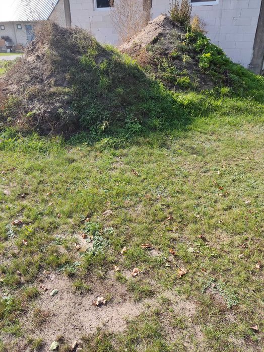 Oddam ziemię z wykopu