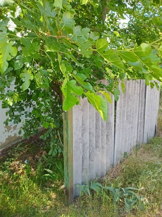 Продам участок за Фрунзенским с выходом на озеро Шпаковое.