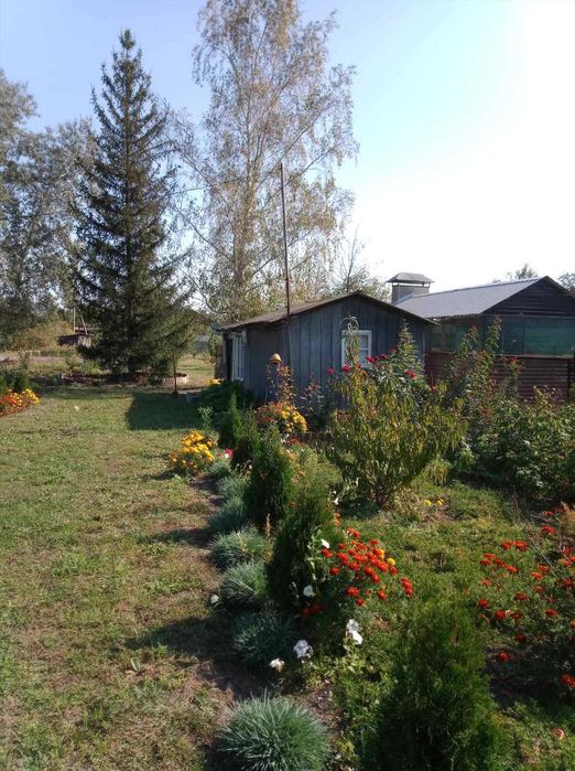 Облагороджена дачна ділянка з садовим будинком!