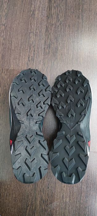 Кросівки Salomon Alphacross 3