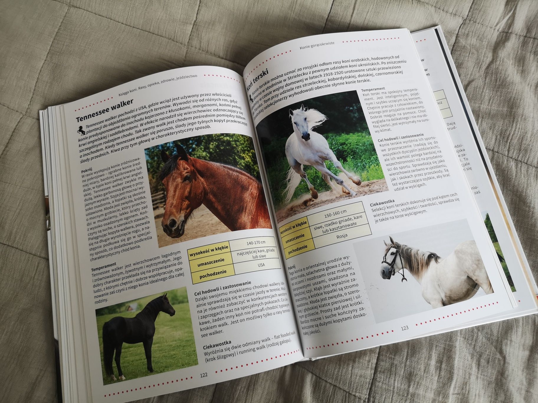 Dwie książki - "Konie", "Księga koni".