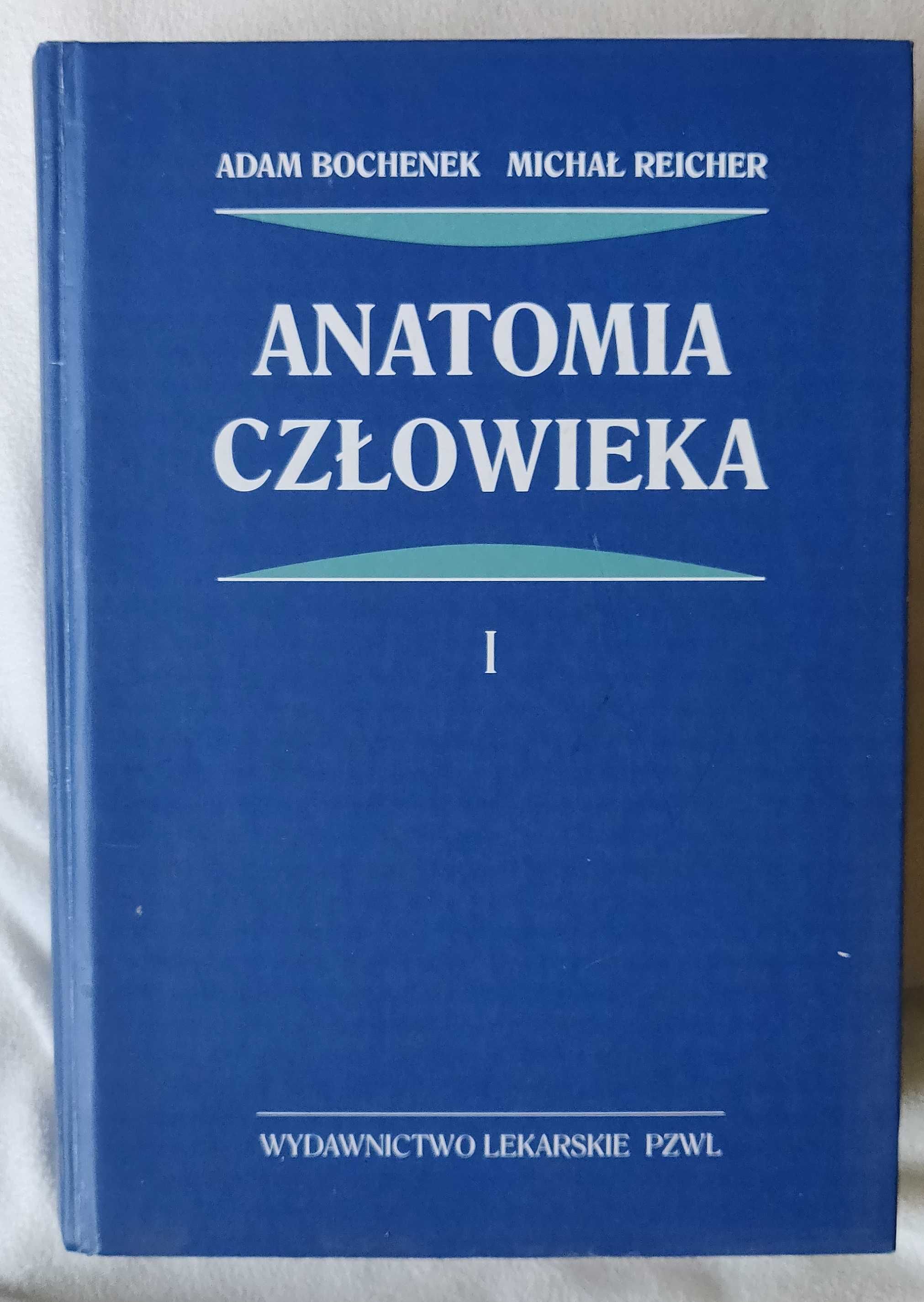 Fizjoterapia i nie tylko