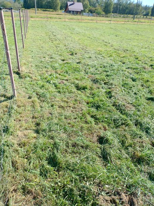 Piękna działka w zacisznym miejscu!