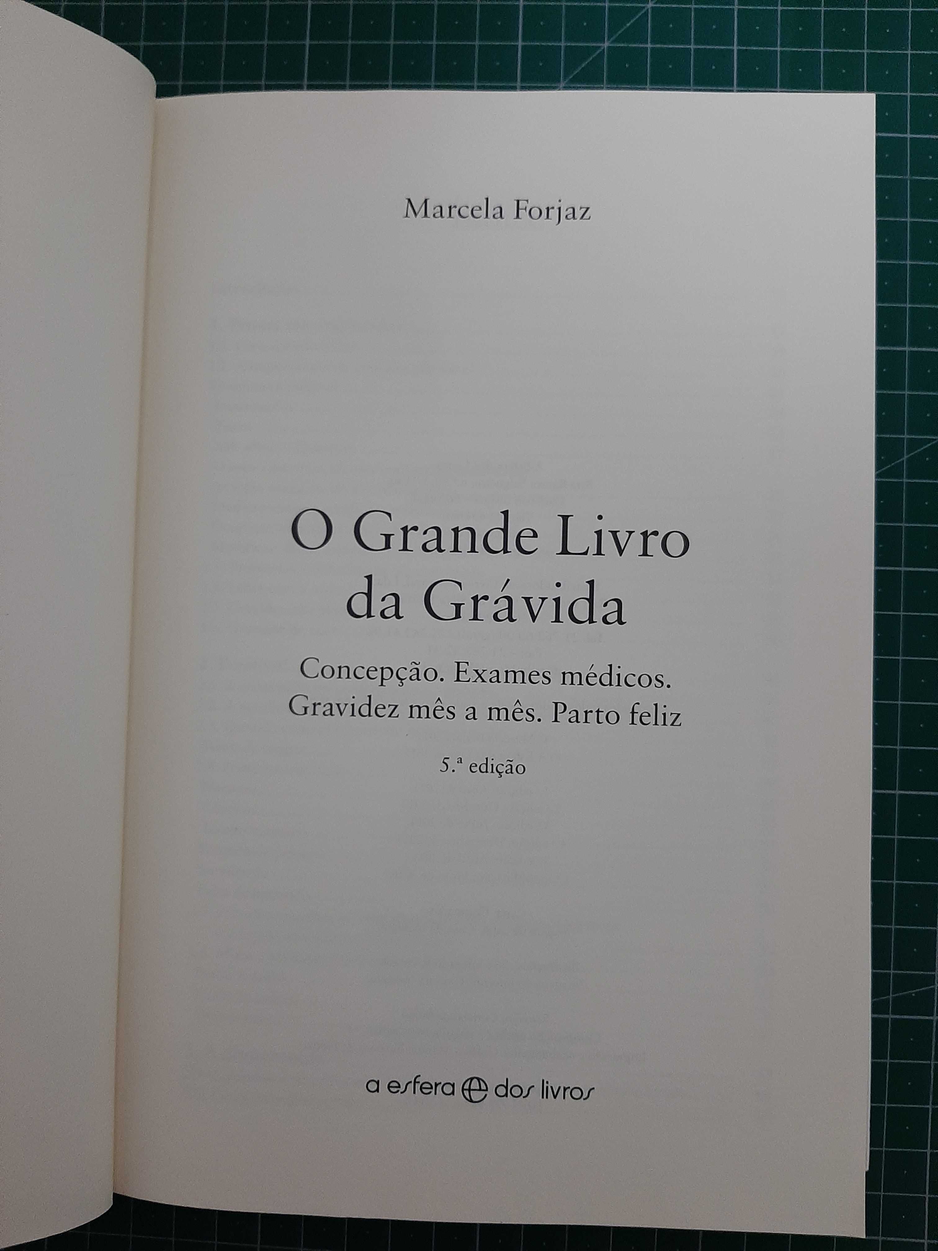 O grande livro da grávida - Perfeito estado