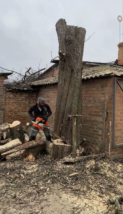 Видалення складних дерев, зрізати дерево, чистка ділянок, подрібнення
