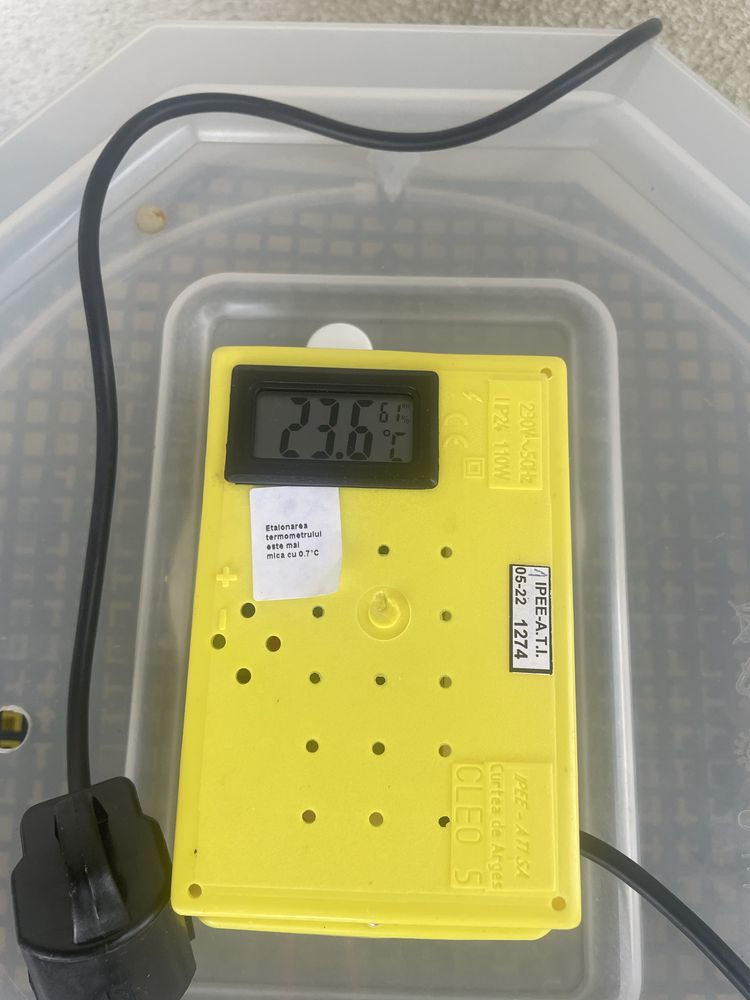 Inkubator cleo 5