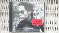 Lenny Kravitz - It Is Time For a Love Revolution