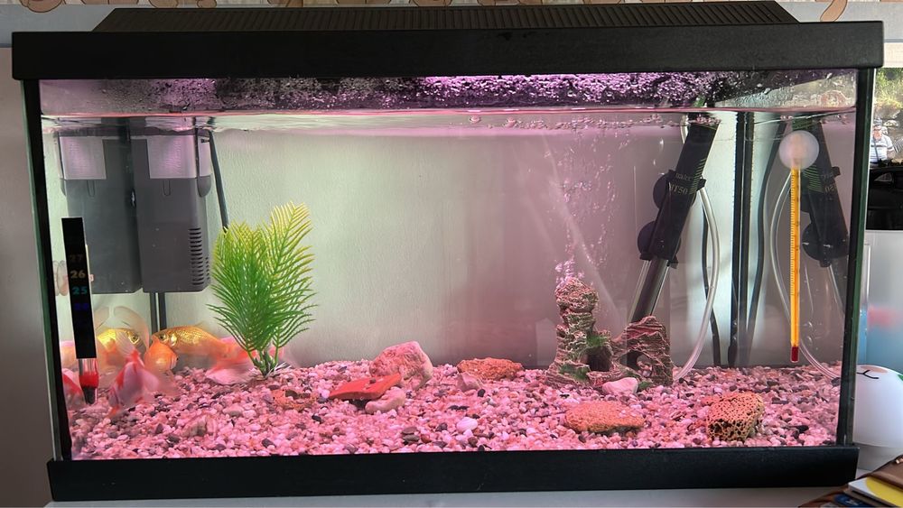 Aquario 30 litros (50x25x30)