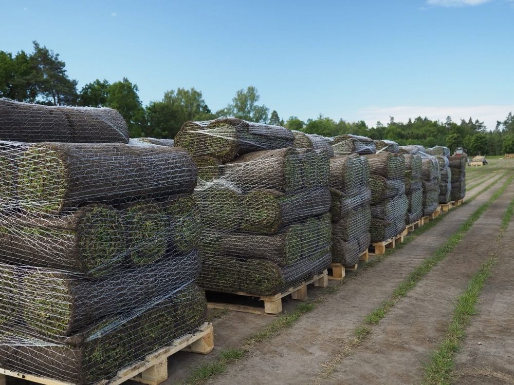 Trawa z rolki premium, sprzedaż, transport pod dom, polska produkcja