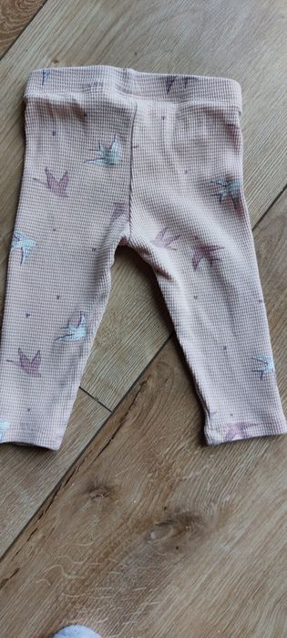 Leginsy niemowlęce hm