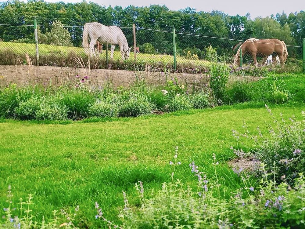 Domek nad jeziorem na Kaszubach