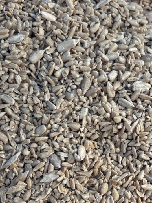 Słonecznik łuskany II gatunek pokarm do karmnika 20 kg GRATIS kula im