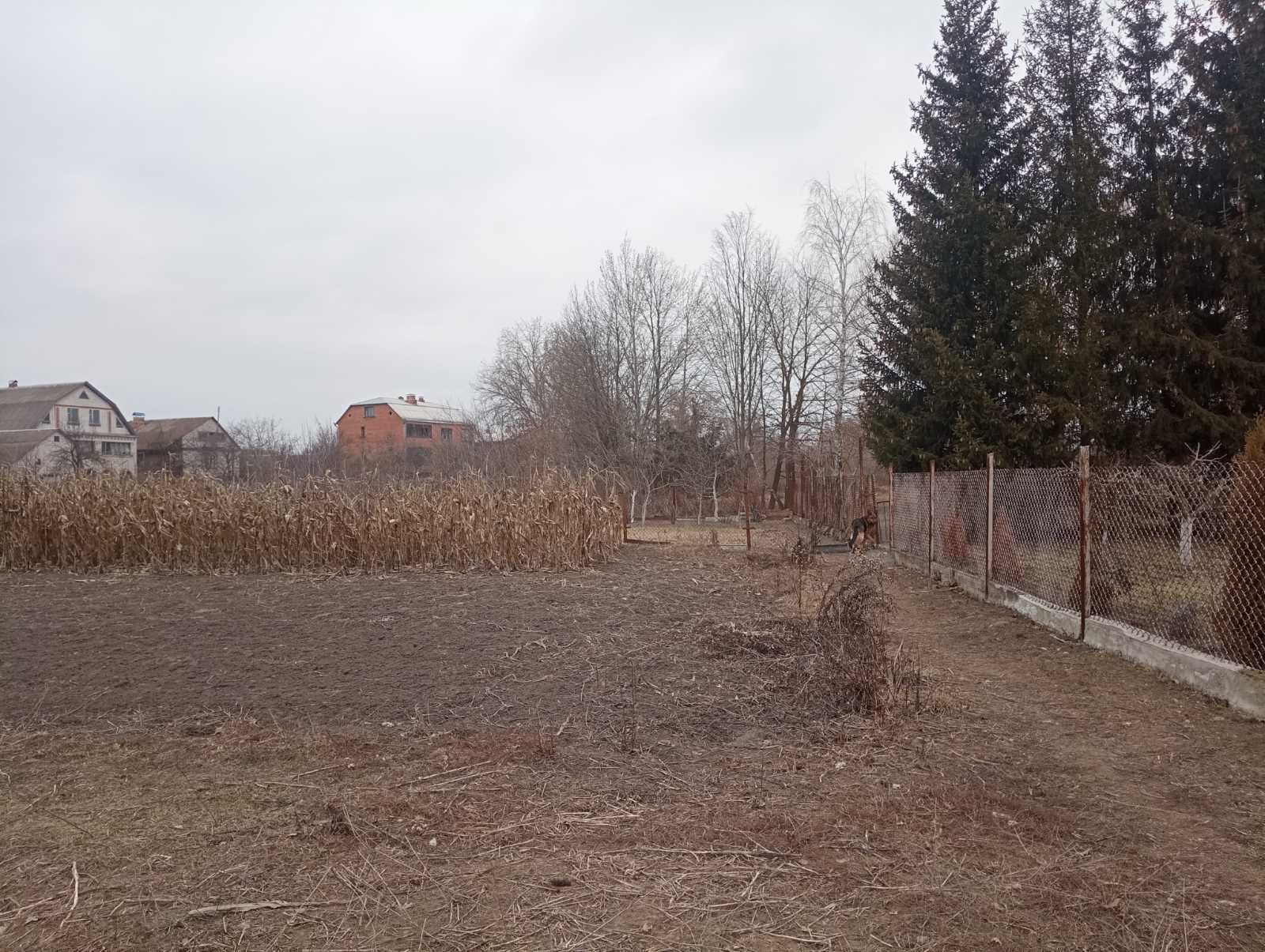(3) Продам земельну ділянку в Стрижавці 0756