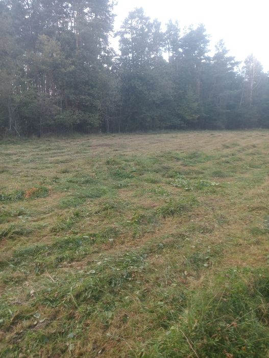 Działka 0,56 ha rolno leśna