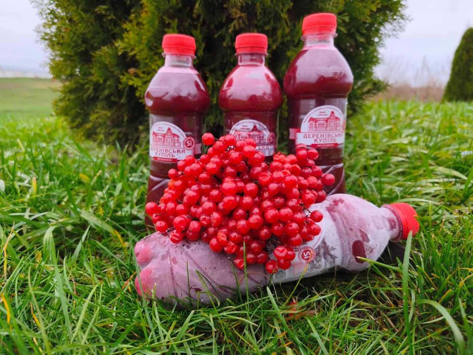 Сік калини прямого віджиму без цукру, заморожений