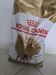 Karma Royal Canin buldog francuski adult dorosły 9kg gratisy