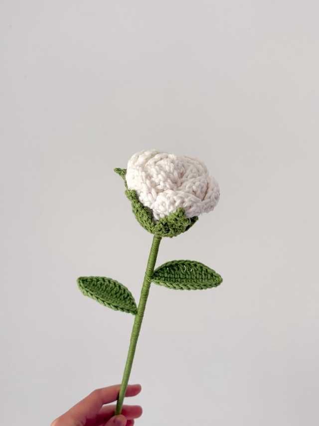 Rosa em Crochet de Variadas Cores