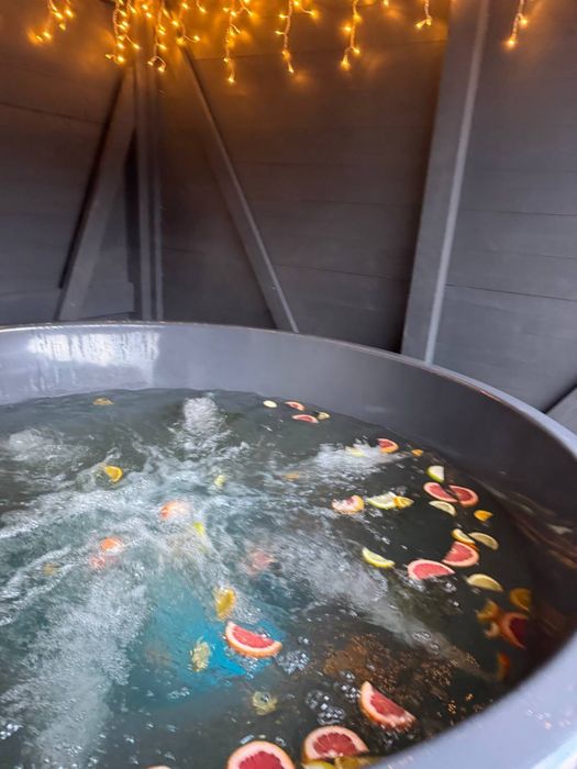 Відпочинок у Карпатах село Гребенів