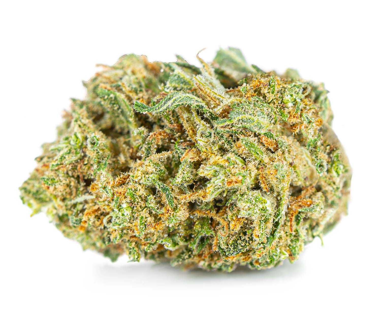 Sklep Mary Jane | White Widow do 39% CBD - Legalny Susz Konopny 5 gram