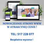 Profesjonalne Tworzenie stron www Strony internetowe atrakcyjna cena