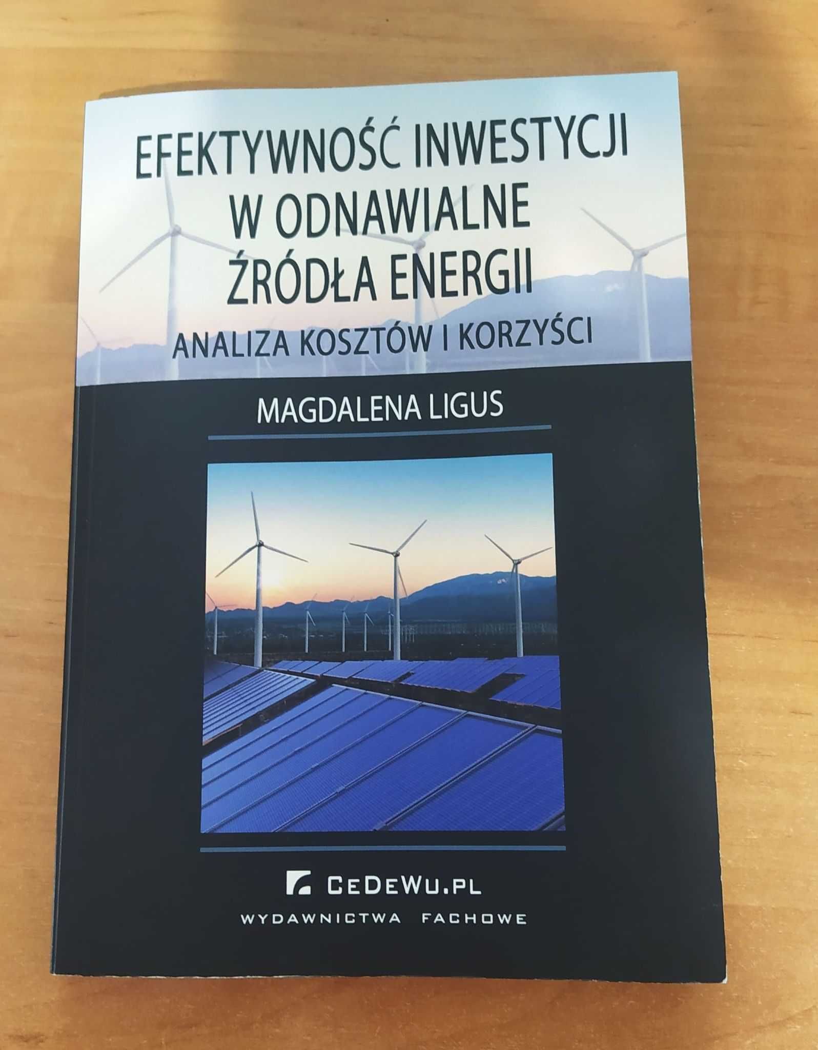 Efektywność Inwestycji w Odnawialne Źródła Energii