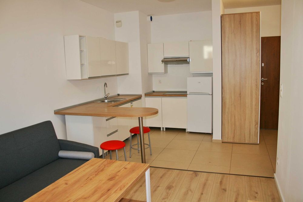 Wynajmę mieszkanie 2 pokoje Katowice uica Rzepakowa