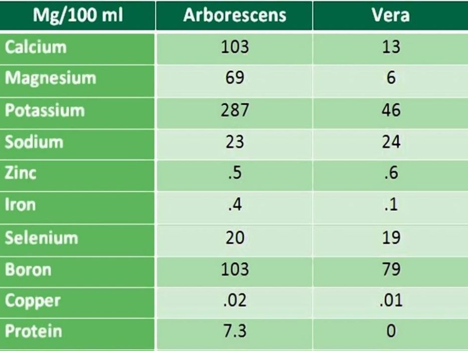 Aloe Barbadensis (Medicinal)