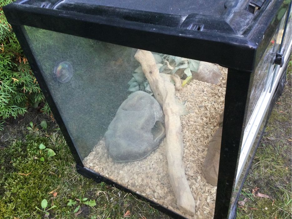 Terrarium okazja weekendowa z częściowy wyposażeniem jak na zdjęciach