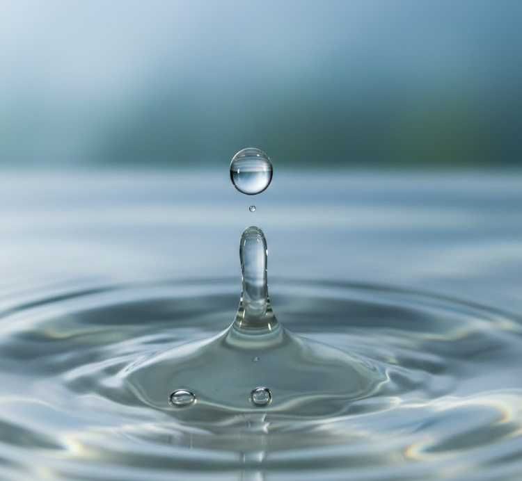 Woda osmotyczna RO / DI akwarium, kawa, żelazko, herbata