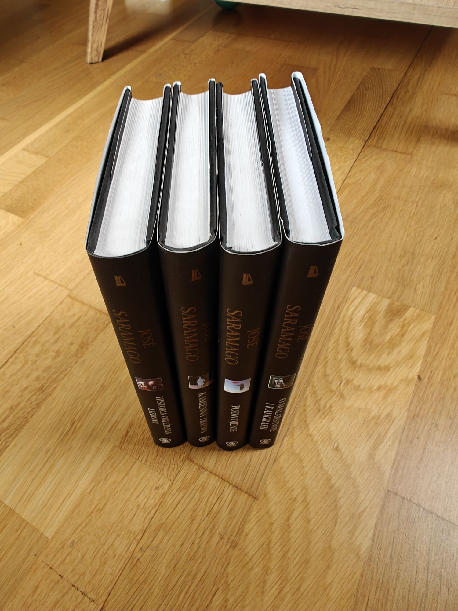 Jose Saramago Podwojenie, Kamienna tratwa i inne