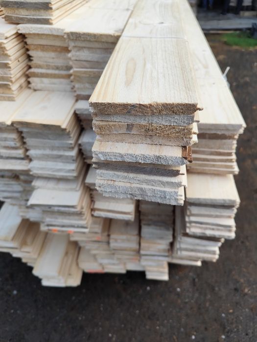 Boazeria świerkowa i modrzewiowa